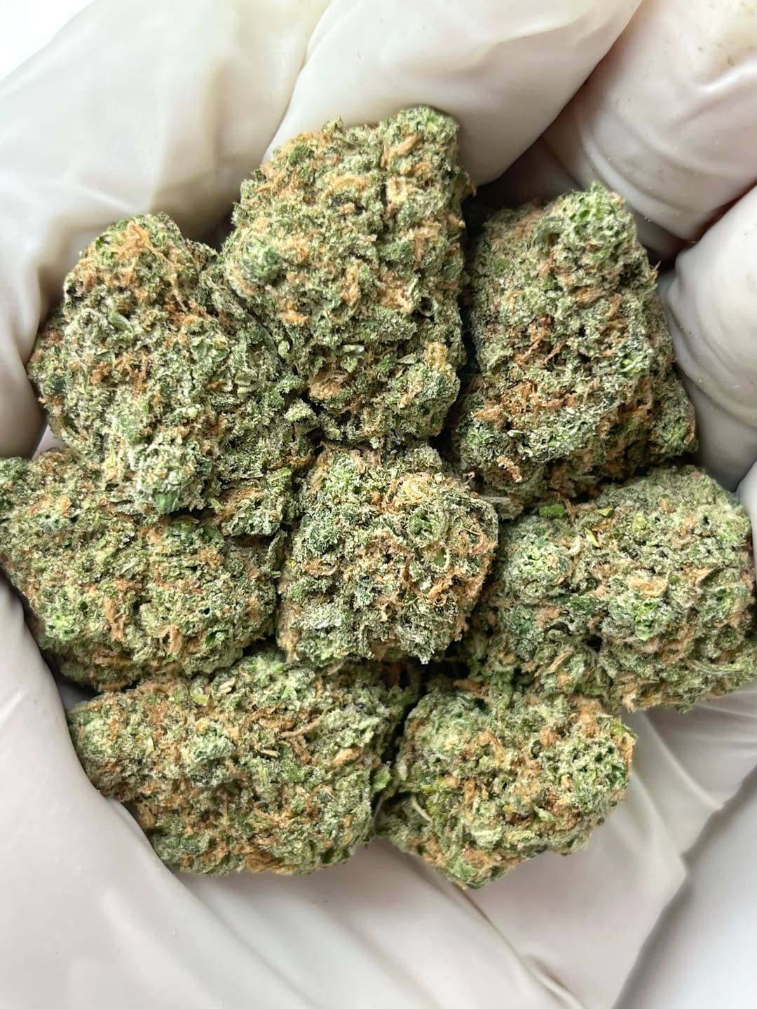 Blue Dream (Bigs), photo 2 of 2