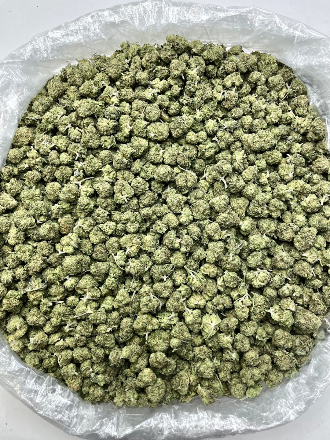 Pinnacle OG Smalls, earlier lot D1H0-XB, photo 1 of 2