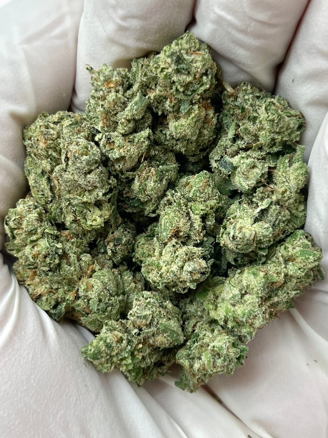 GG4 (Bigs), photo 2 of 2