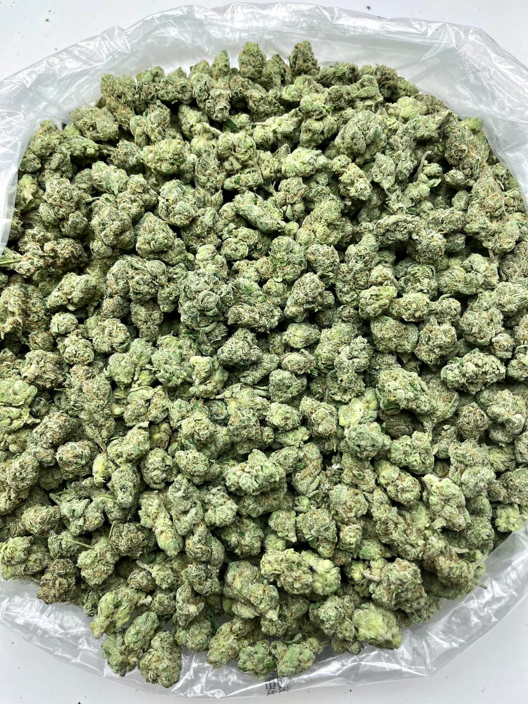 Lemon Cherry Fuel (Bigs), photo 1 of 2