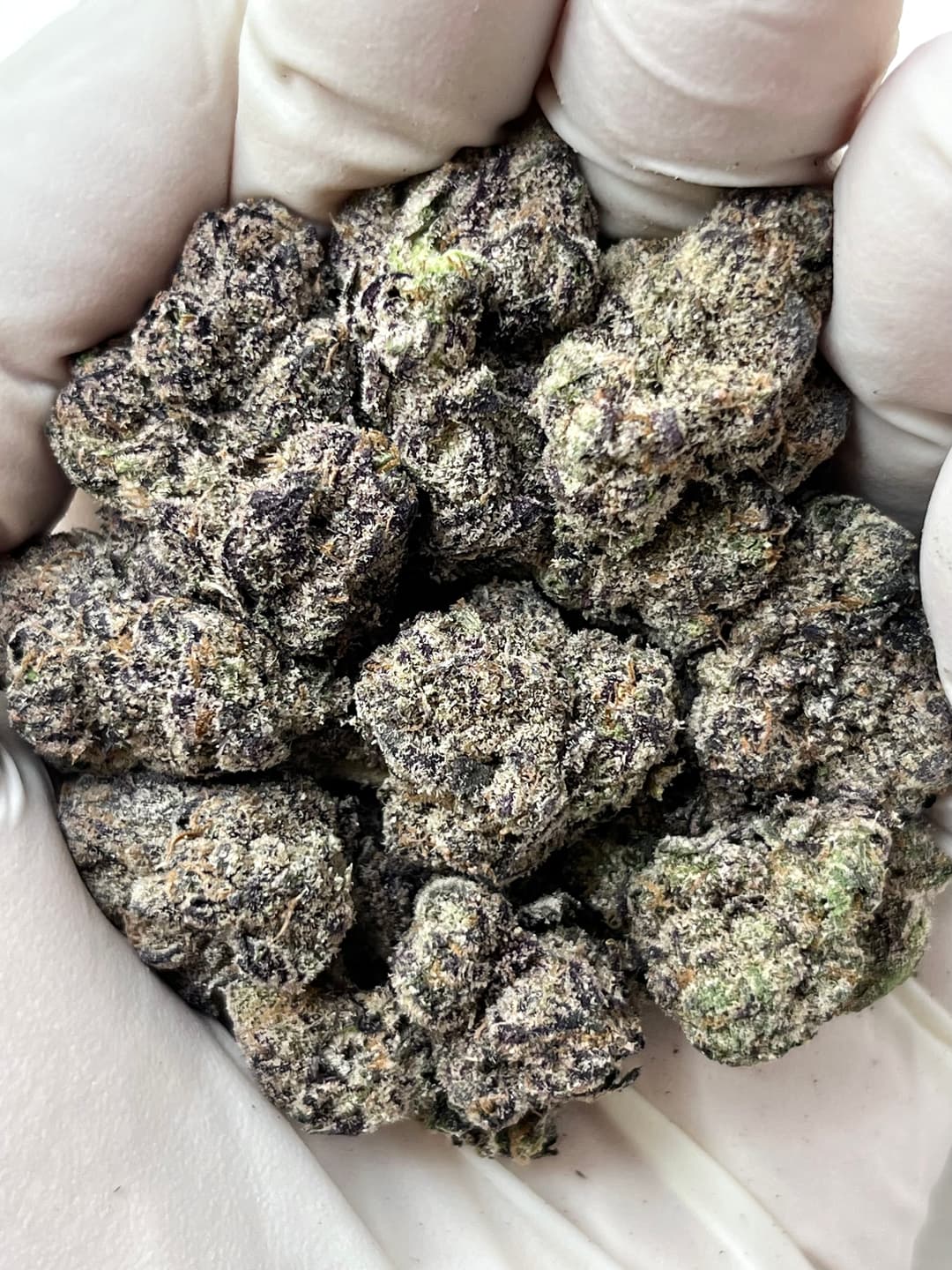 LCG BX (Bigs), photo 1 of 2